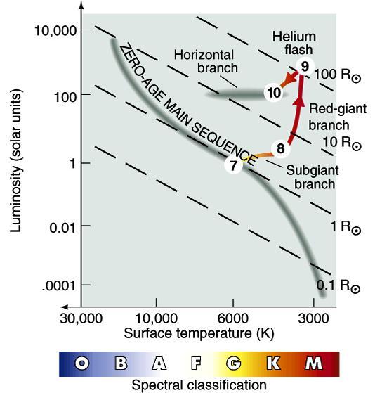 Stage 10 - Helium-to-Carbon burning occurs stably in core, with Hydrogen-to- Helium burning in shell