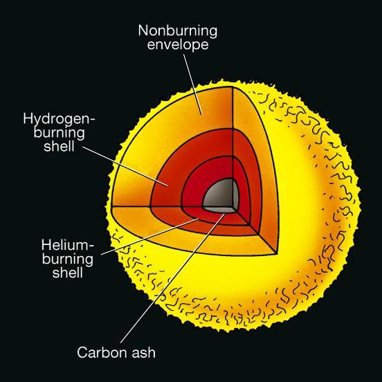 During this phase, Heliumto-Carbon burning creates a Carbon core, which starts to contract and heat up. Then He burning moves to a shell With H burning in an outer shell.