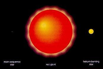 Relative sizes of main-sequence, red giant, and