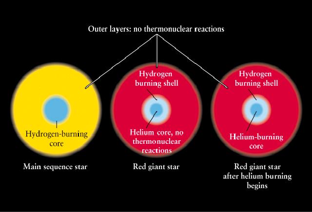 Structure of Stars in