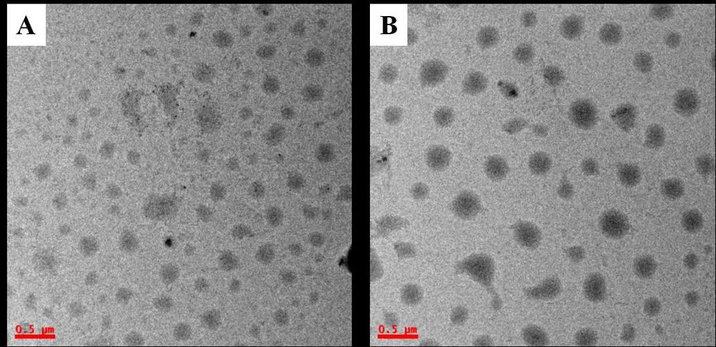 Table 1:Summary of Polystyrene latexes S1 S6. Polymer M a n (g mol -1 ) PDI a Hydrodynamic Size b DLS (nm) TEM (nm) S1 43295 1.46 208 50 190 240 S2 31446 1.58 470 50 410 520 S3 23131 1.