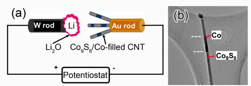 Fig1. (a) Schematic illustration of the experimental setup for in situ TEM. (b) Microstructure of a pristine Co 9 S 8 /Co-filled CNT, consisting of two different regions Co 9 S 8 and Co.