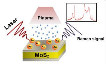 then treated by atmospheric plasma to increase sensitivity and decrease flurouence for surface enhanced Raman scattering (SERS) biodetection.