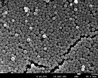 As temperature increases, the diameter of silica particles decreased, as displayed in the SEM images.