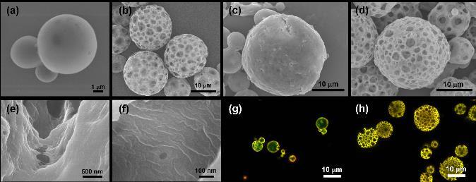 (c), (d) are non-porous microcapsule and porous microcapsule after LbL assembly, respectively. (e), (f) are high magnification of porous microcapsule after LbL assembly.