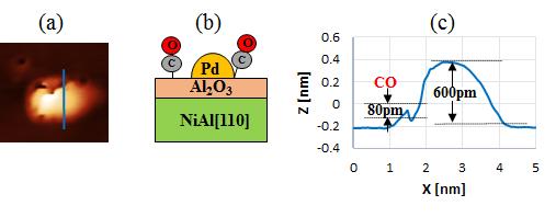 Generally, metal fine particles are predicted easy to adsorb on defects after the Pd atoms deposited on the Al 2O 3/NiAl(110) surface, we found that the Pd NPs were observed as bright spots on the