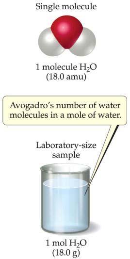 Avogadro s Number In a lab, we cannot work