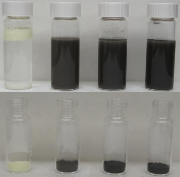 Figure 4 The catalyst powders and suspensions: bottom photo (from left to right) - dry powders of α-, /GR-1%, /GR-2%, and /GR-3%; top photo - the suspensions of the catalysts in water after