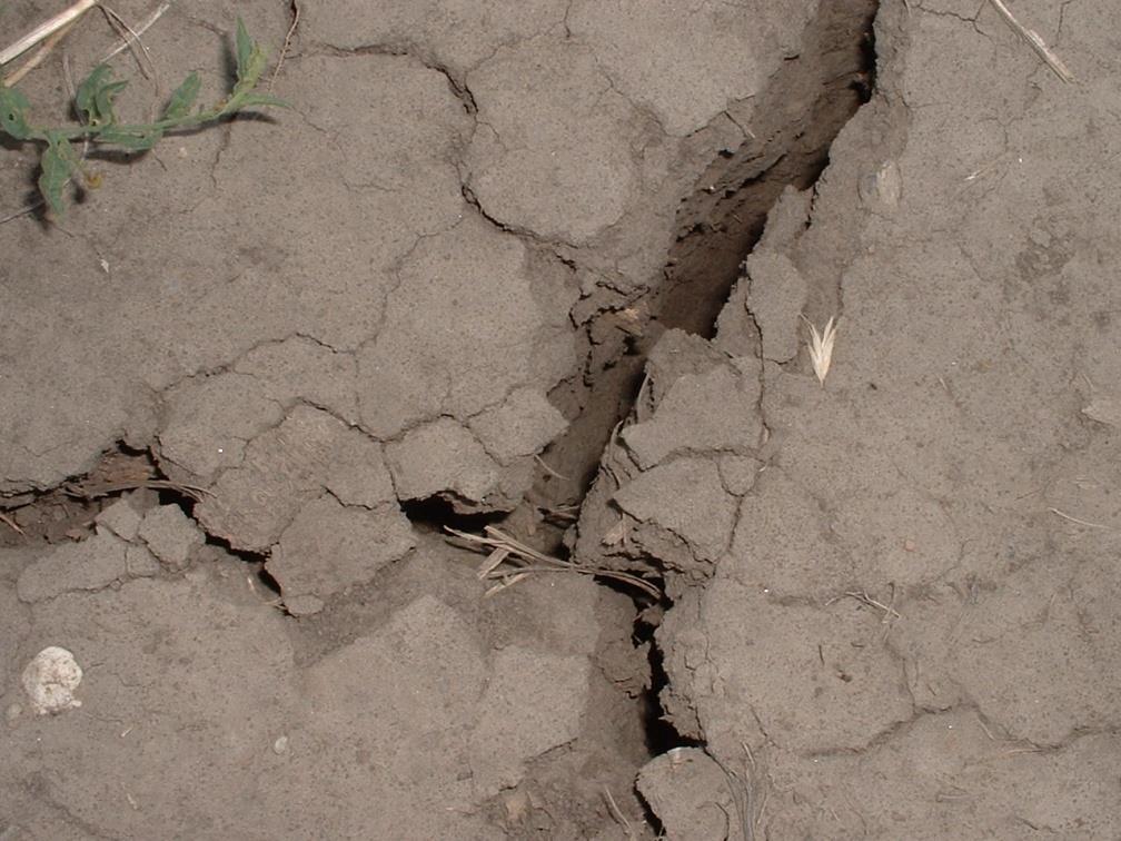 Drought Mitigation Center Brian Fuchs,