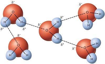 How molecules arrange themselves when there are dipole dipole interactions: 1.