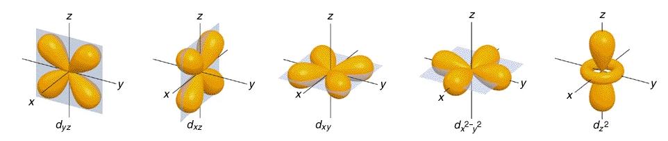 Schrödinger s model describes the of where to find an electron in an atom Orbital: the