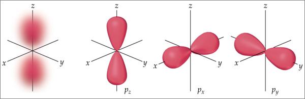p orbitals The next orbitals after the 2s is the 3 different 2p orbitals. Each 2p orbital can hold up to two electrons, for a total of six electrons.