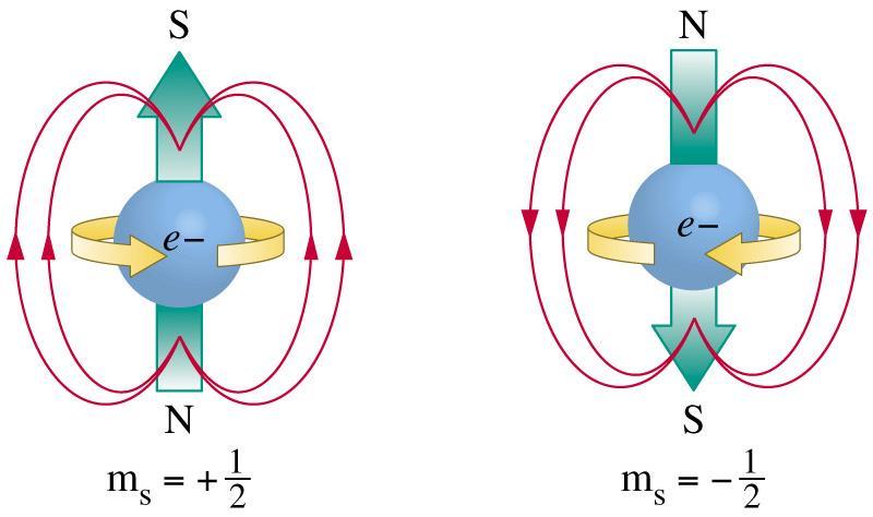Fourth (s): The spin quantum number describes the intrinsic angular momentum of the electron.
