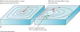 Boundary Currents Have Different Characteristics Western boundary currents These are narrow, deep, warm, fast
