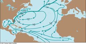 The Gulf Stream The Japan Current The Brazil Current The Agulhas Current The Eastern Australian Current Eastern
