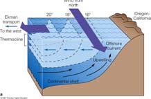 It supplies the deeper ocean with dissolved gases.