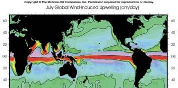 Thermohaline Flow and Surface Flow: The Global Heat Connection The global pattern of deep