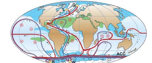 Pacific ocean basins.