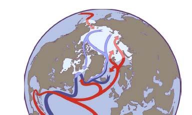 The thermocline at middle and low latitudes is held up by the slow upward movement of cold