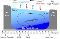 Oscillation Interest in the phenomenon of El Nino goes back to the mid-19 th century but it was the