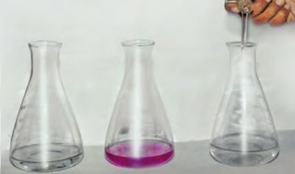 4. REACTIN F ACIDS WITH BASES ACTIVITY 11.18 Indira takes 20 ml of 0.1N sodium hydroxide solution in a conical fl ask and adds few drops of phenolphthalein. What colour does she observe?