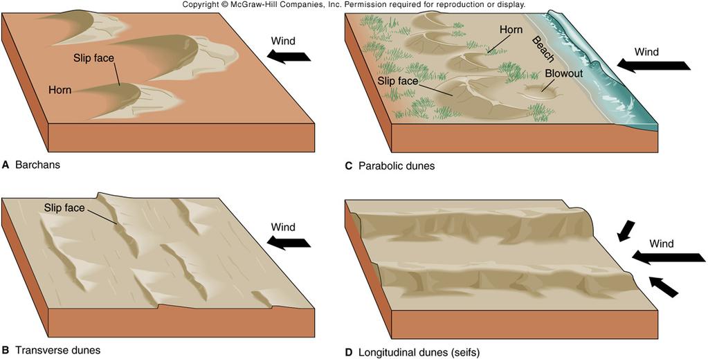 types of sand dunes!