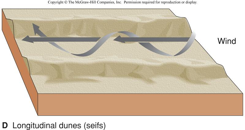 types of sand dunes! longitudinal!