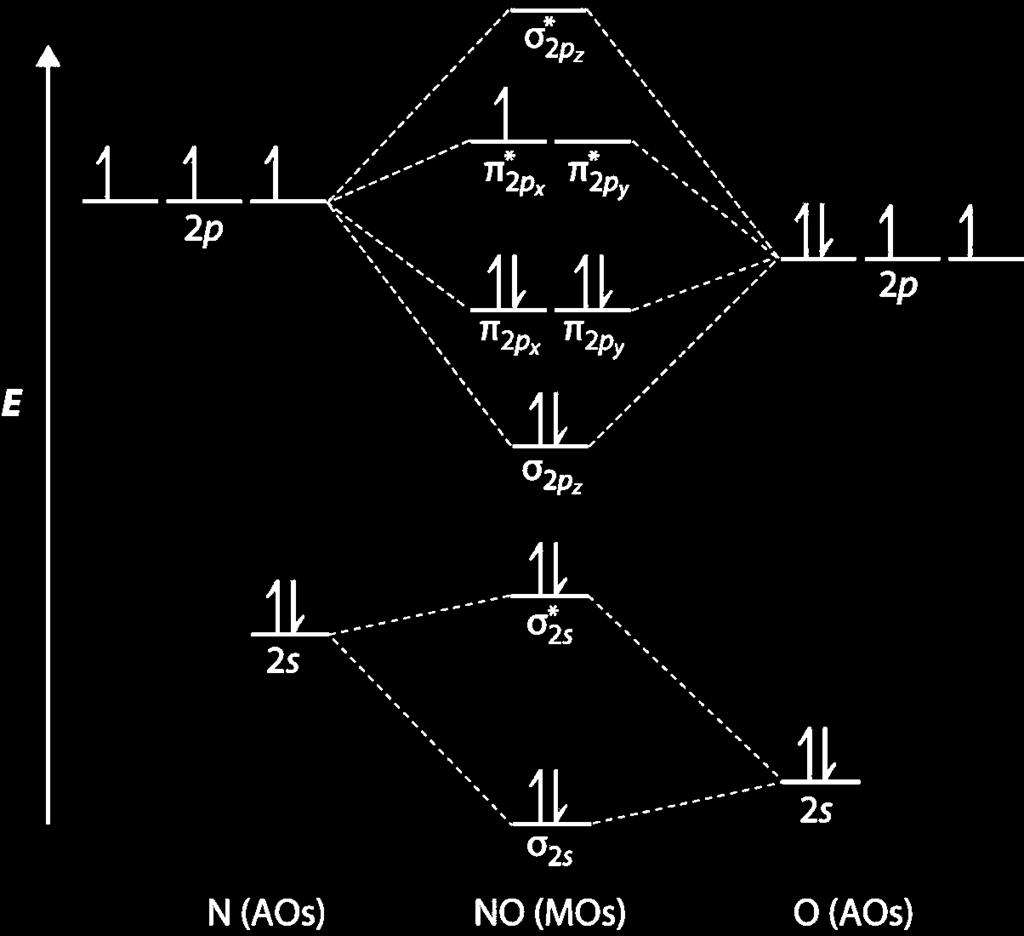 4 Linear molecule NO 2s+1 2 Π A 1 =Σ +