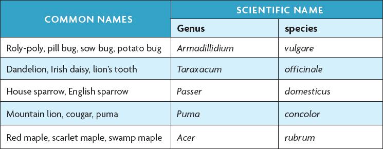 Scientific names help scientists to communicate.