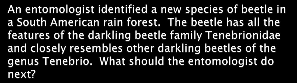 A. Give the beetle new genus and family names B. Give the beetle a new species name not used in the genus Tenebrio C.
