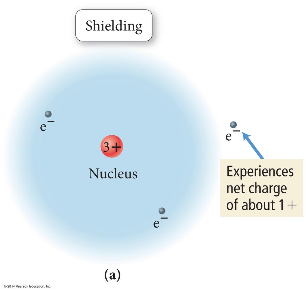Electron Shielding & Penetration In a multi-electron atom, each electron sees a different nuclear charge. Electrons farther away from the nucleus, see a reduced nuclear charge.