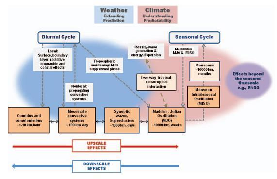 Moncrieff et al, 2012, BAMS Scientific Basis of the study The organized systems exhibit hierarchical coherence: (i) mesoscale systems consist of families of cumulonimbus (ii) cumulonimbus and MCS are
