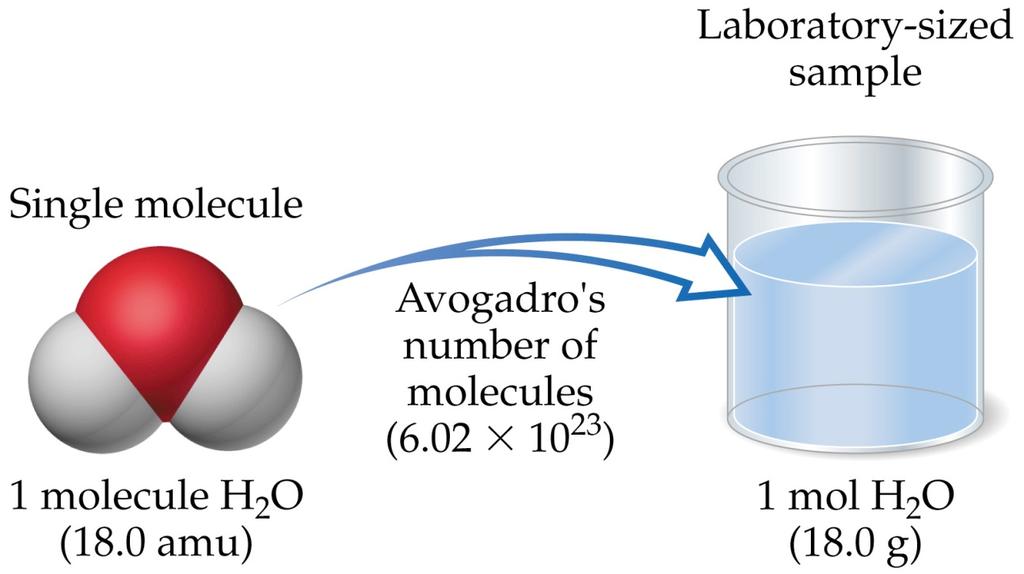 The Mole and Avogadro s Number Mole: connection between microscopic (what