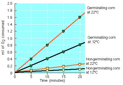 1. Based on the graph, what is the respiration rate for 12 degree corn? 0.6 ml /15 min. = 0.04 ml /min. Time (min.) ml O 2 consumed 0 0 5 0.4 10 0.