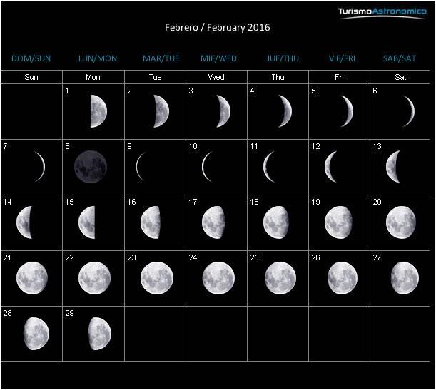 Lunar and Solar Calendars For thousands of years, people used the phases of the