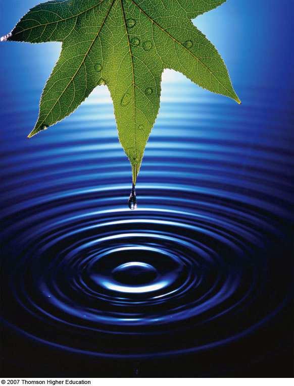Chapter 15 Oscillatory Motion Drops of water fall from a leaf into a pond. The disturbance caused by the falling water causes the water surface to oscillate.