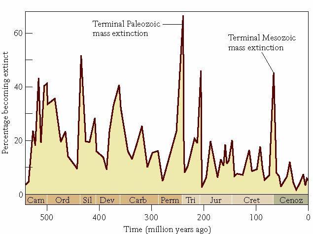 Rates Average rate has declined through time Mass extinctions Many extinctions within a brief