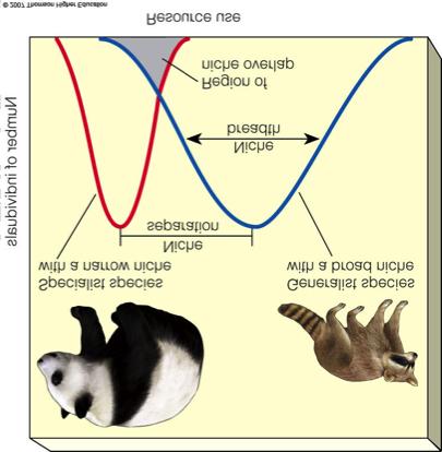 Ecological Niche Generalist species have broad niches. Can live in different places, eat many types of foods, tolerate wide range of environmental conditions.