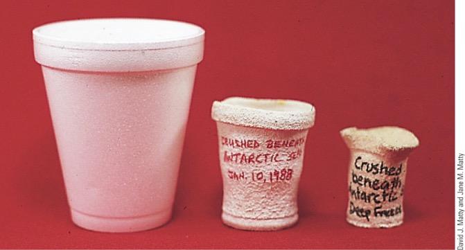! A similar situation occurs when 200-ml cups composed of Styrofoam are lowered to ocean depths of approximately 750 m and 1,500 m.