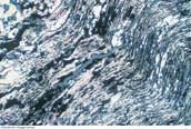 Classification of Common Metamorphic Rocks Foliated - Foliated texture is produced by the