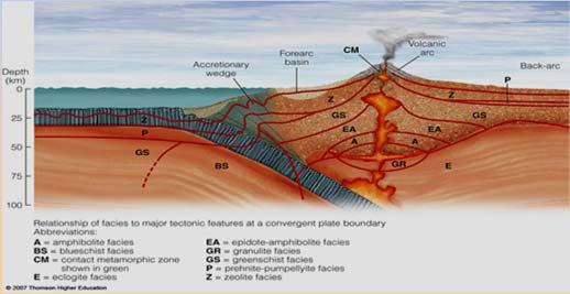 193 Plate Tectonics and Metamorphism Metamorphism can occur along all types of plate boundaries, but is most common and extensive along convergent