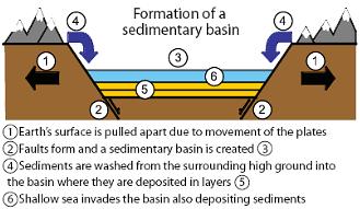 Sedimentary Basin (divergent boundary) a low area in the Earth s crust, of tectonic origin, in which