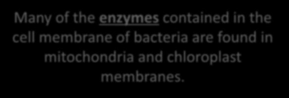 mitochondria and chloroplast membranes.