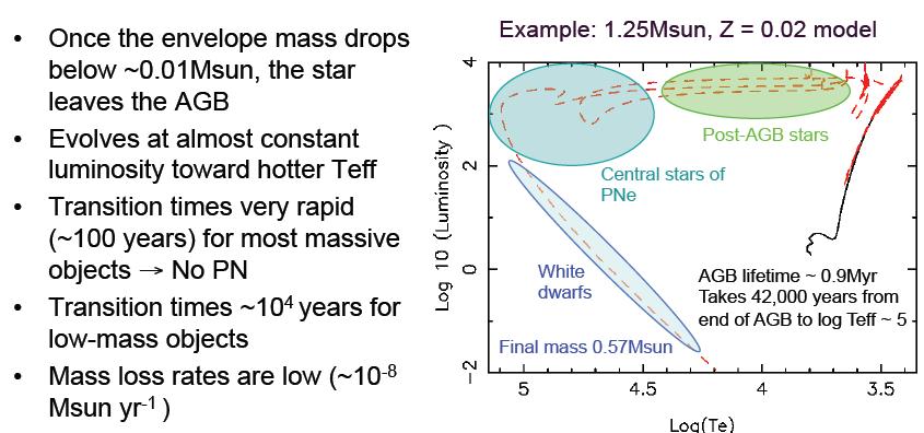 Post-AGB stars Larger envelope mass slower evolution H- or He-burners, depending on the moment they leave the AGB during the TP cycle.