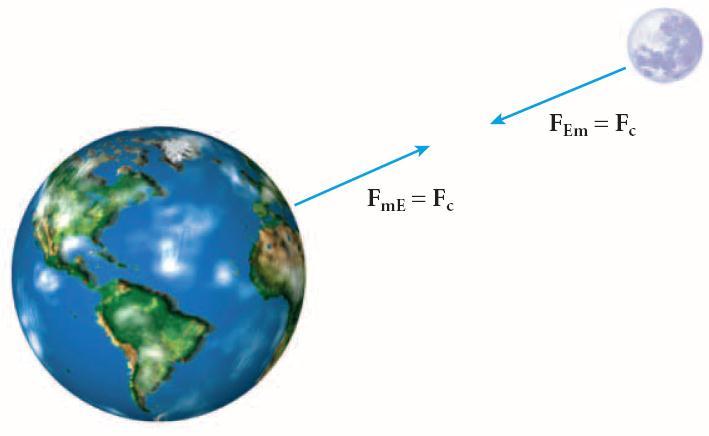 Section 2 Newton s Law of Universal