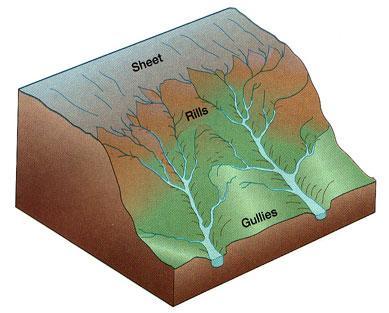 Lesson 2: Water Erosion I. How Does Moving Water Cause Erosion? A. Runoff: Water moving over the 1.