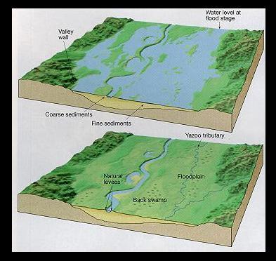 How people land B. Stream Formation 1. : Tiny grooves in the soil. 2. : A large groove, or, in the soil that carries runoff after a rainstorm. 3.