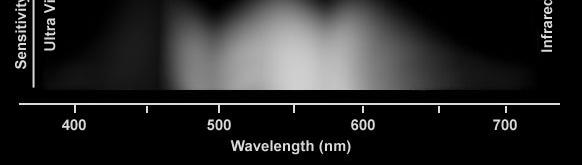 A spectrum Emission lines Absorption lines Continuum A spectrum = the amount of light given off by an object at a range of wavelengths.
