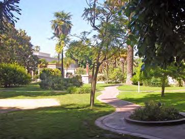 EXPLORE ROSICRUCIAN PARK! Visit our beautiful Peace Garden, a reproduction of an 18th Dynasty estate garden.