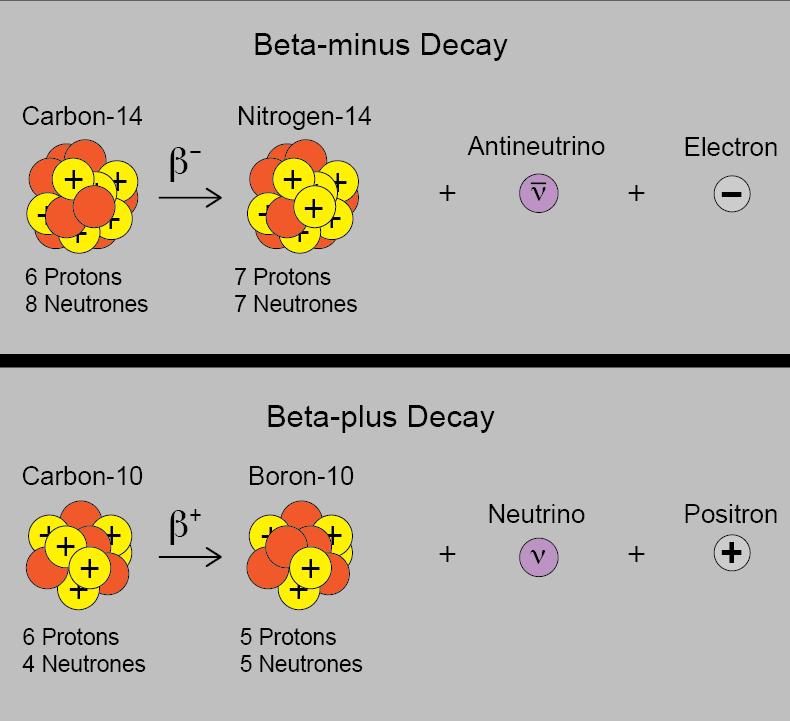 Beta minus decay moves an atom downwards to the right on the n-p plot.